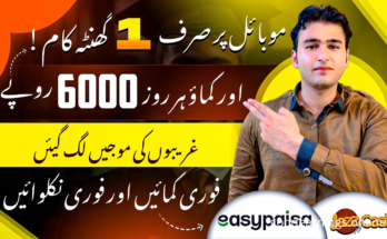 Earn 20$ to 25$ Daily from Home with Microtasks
