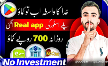 How to Earn PKR 600-800 Daily with EarnVibe